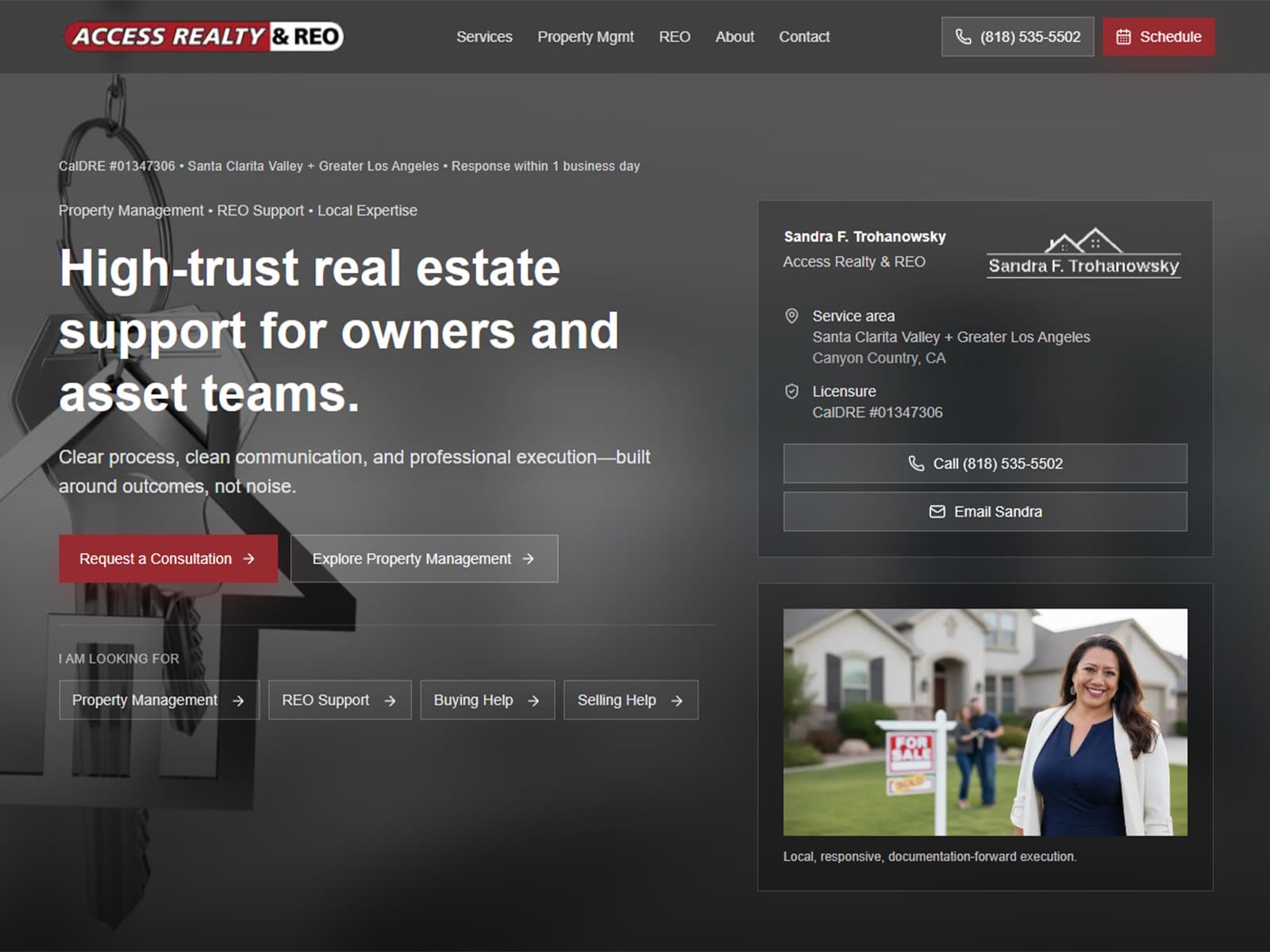 Access Realty REO website preview